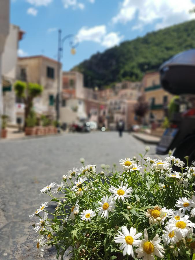- Diffuso Bed and breakfast Cetara